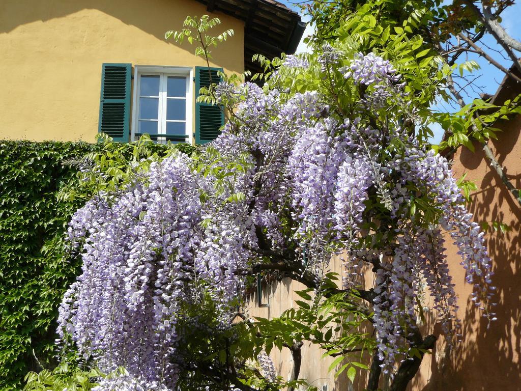 Bed and Breakfast Al Concerto San Benigno Canavese Exterior foto